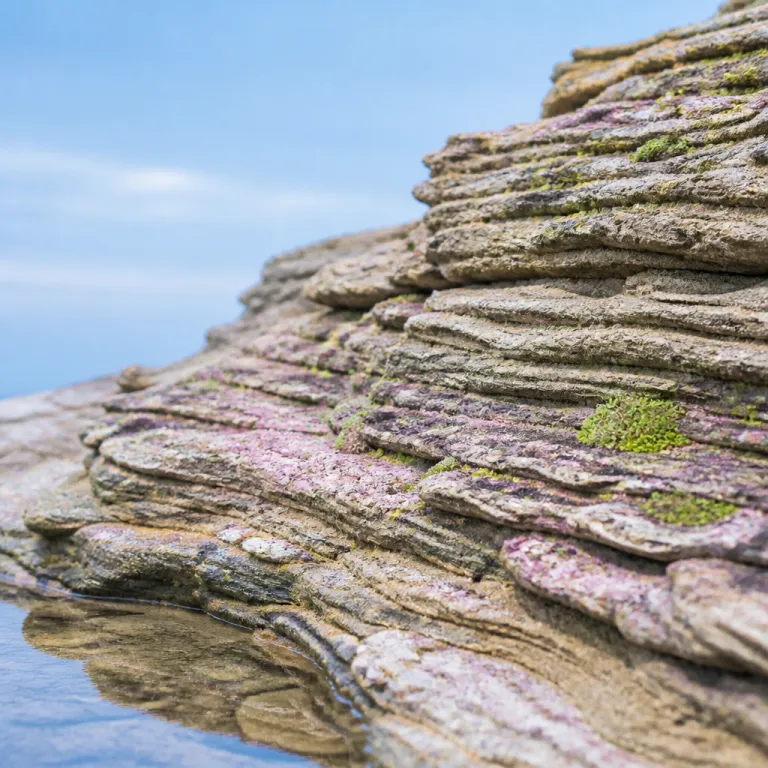 Performance goals for high-potential employees need a different architecture