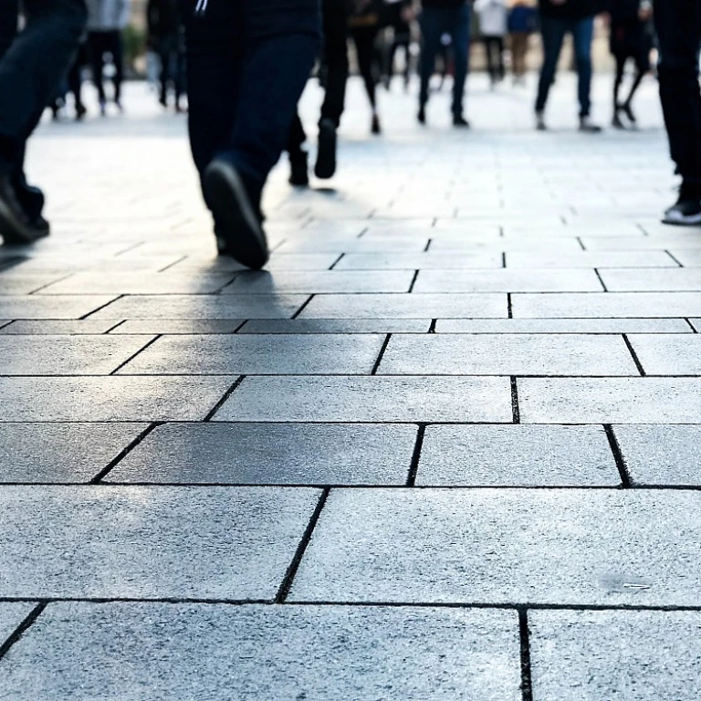 Unveiling the Role of Culture Champions in Nurturing High Potential Employees