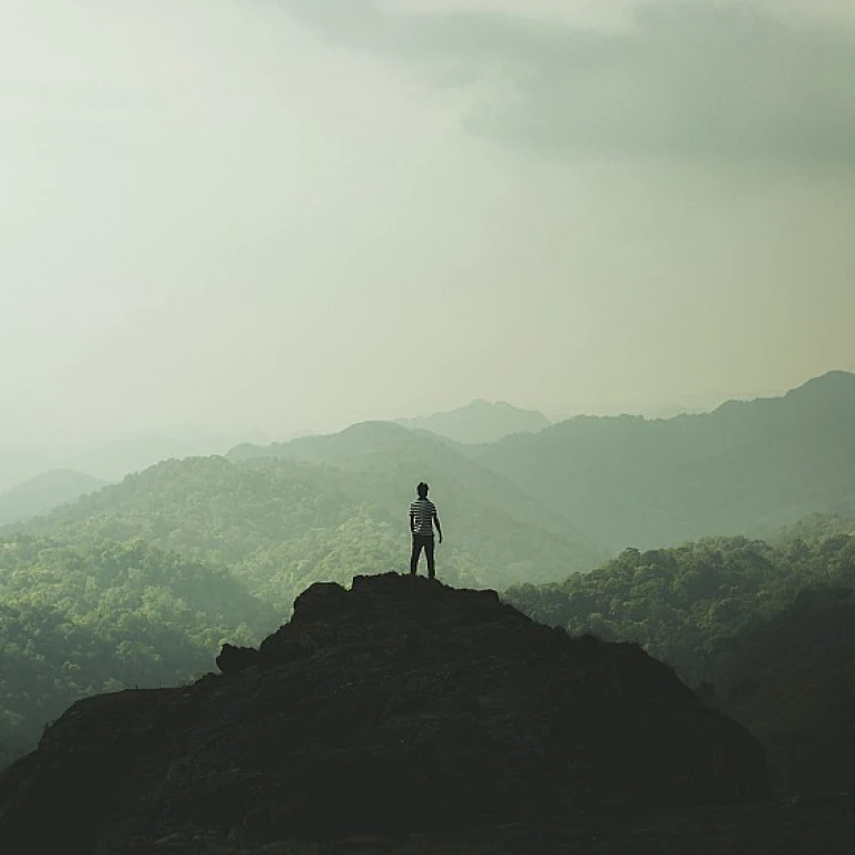 Advanced Approaches for Evaluating High Potential Employees