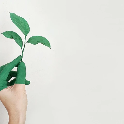 Ensuring Comfort for Coaches: A Guide to Supporting High Potential Employees